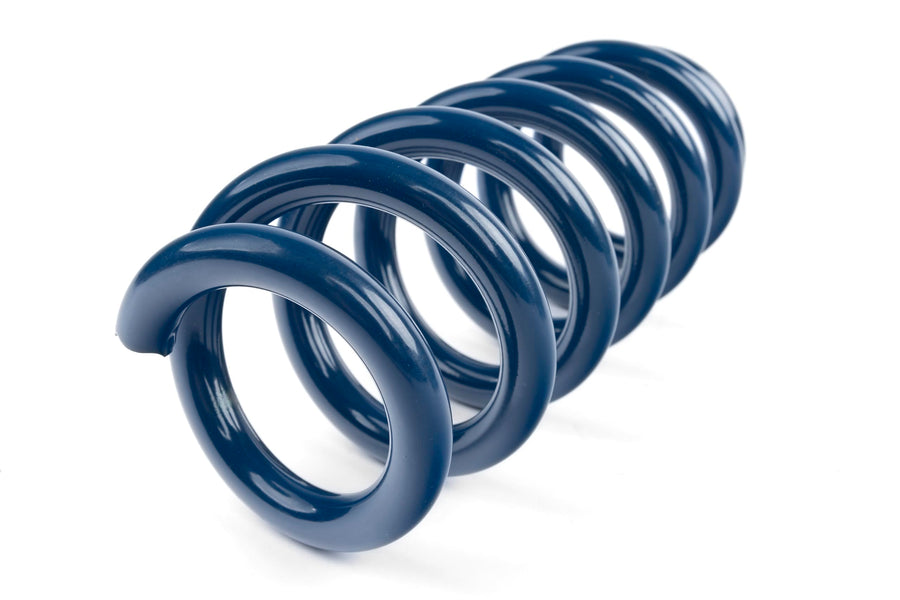 Dinan Performance D100-0938 Coil Spring Set