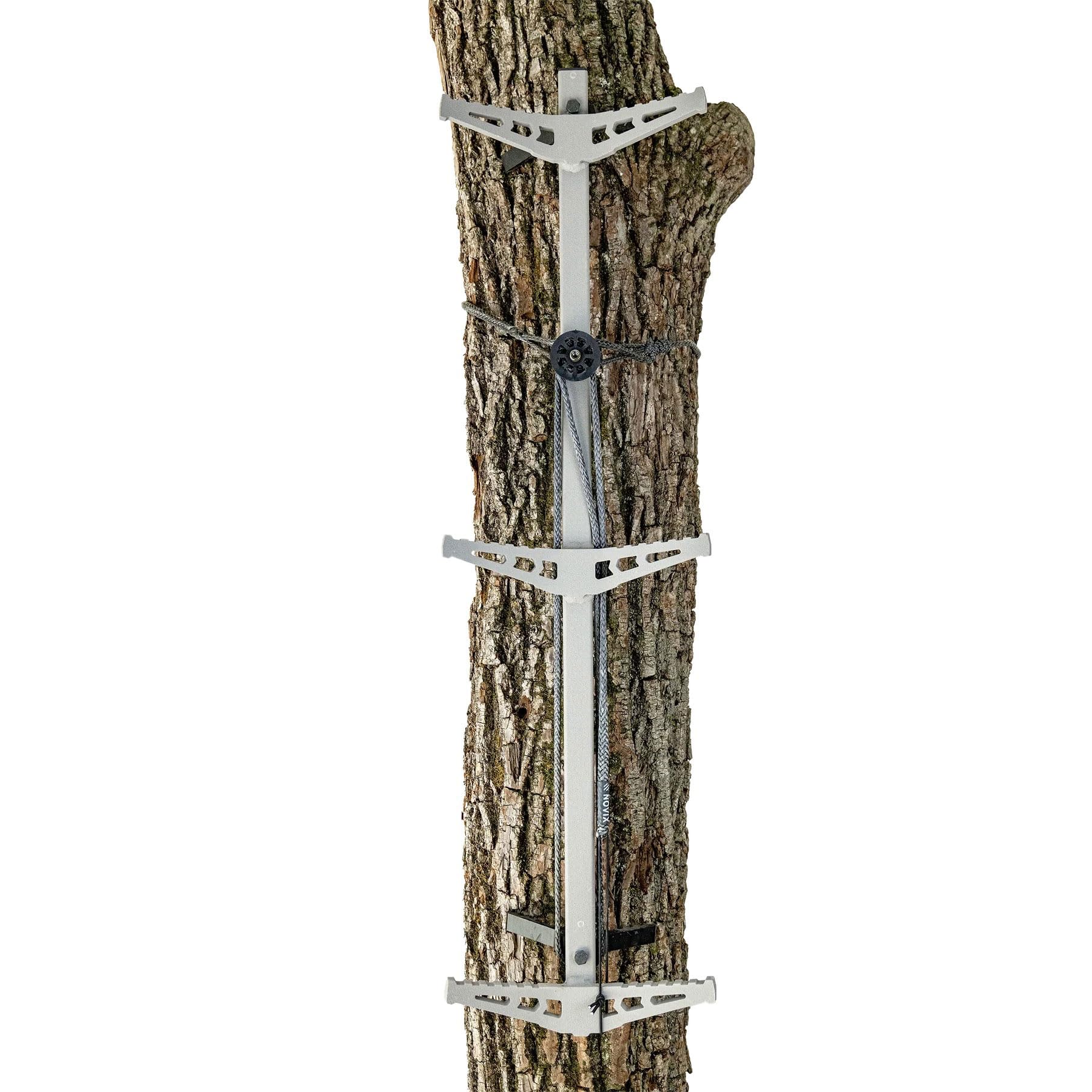 Novix AmSteel Rope