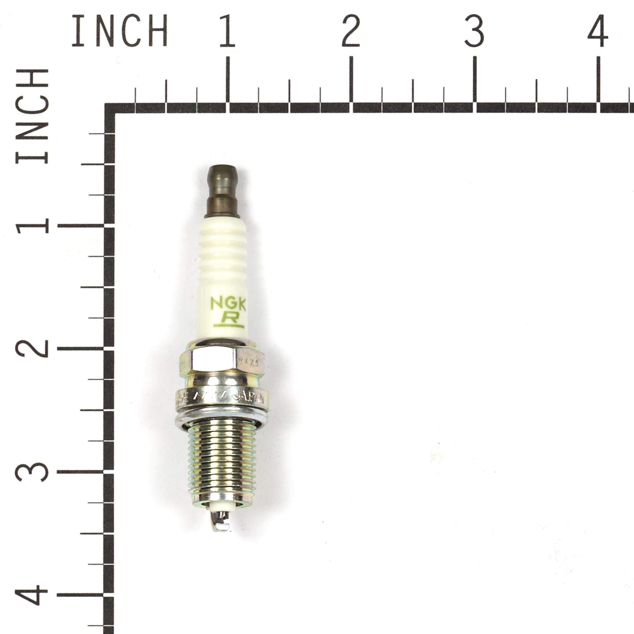 1172 NGK Spark Plug