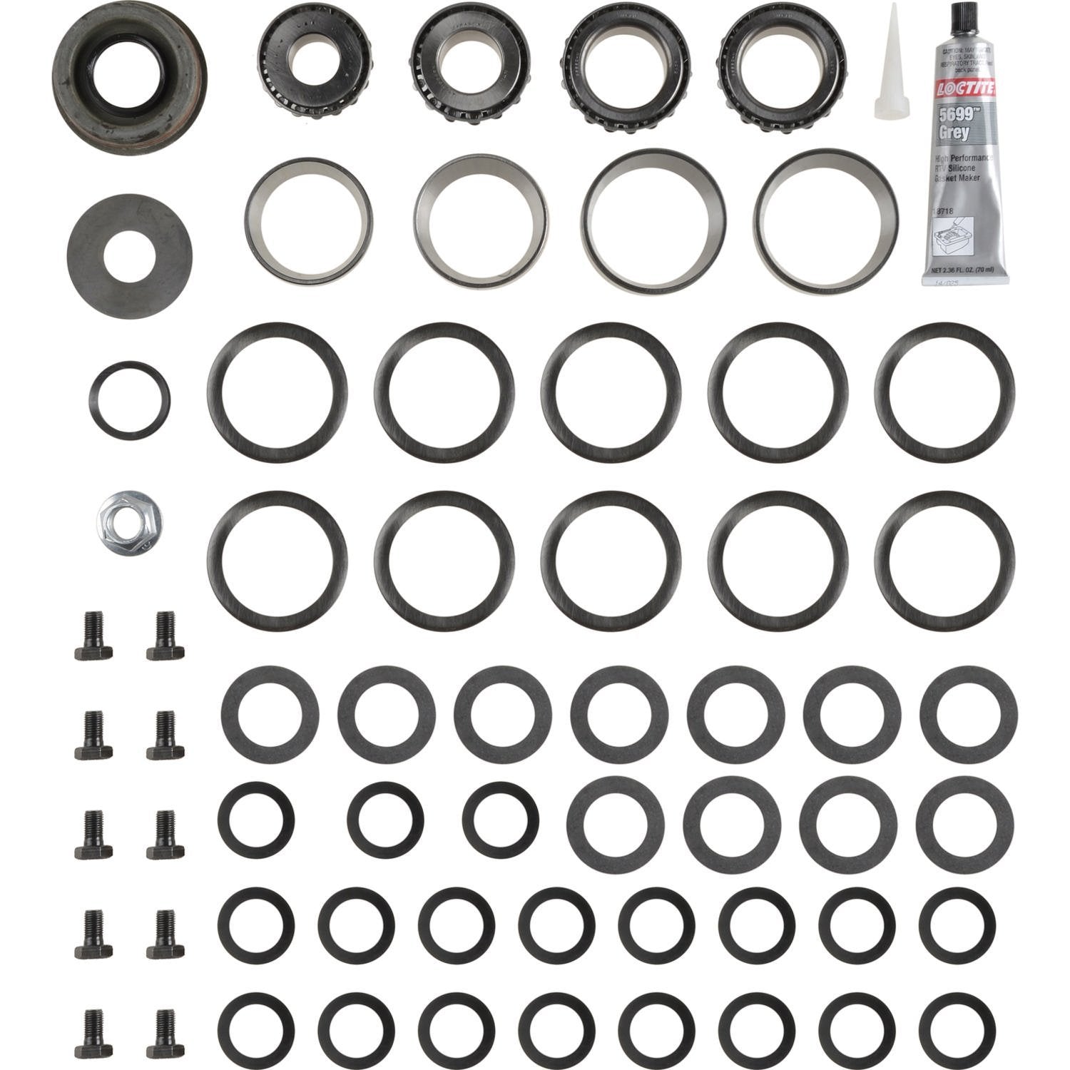 Differential Bearing Overhaul Kit Spicer 2017097