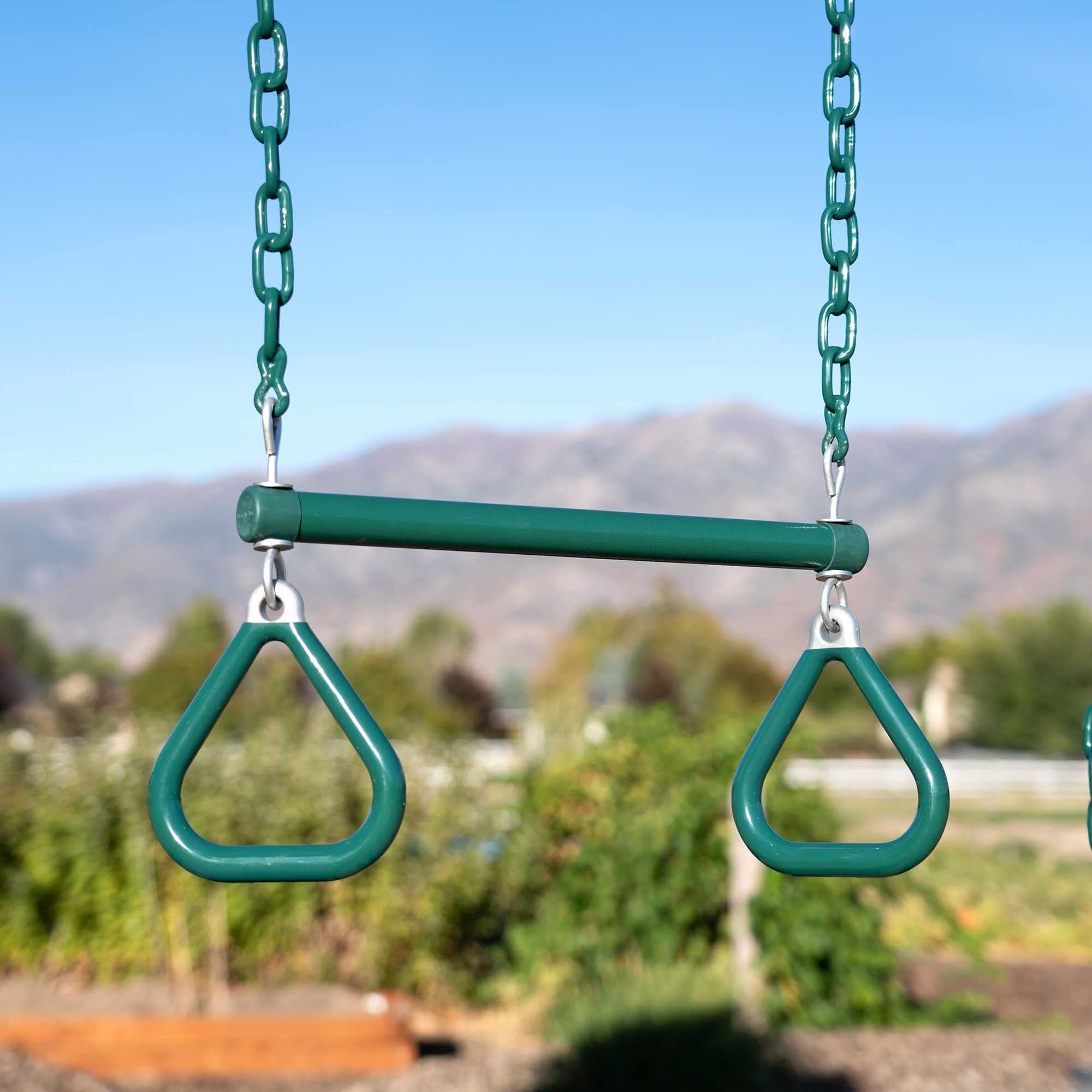 Big Stuff Lifetime Swing Set, Earthtone 91069