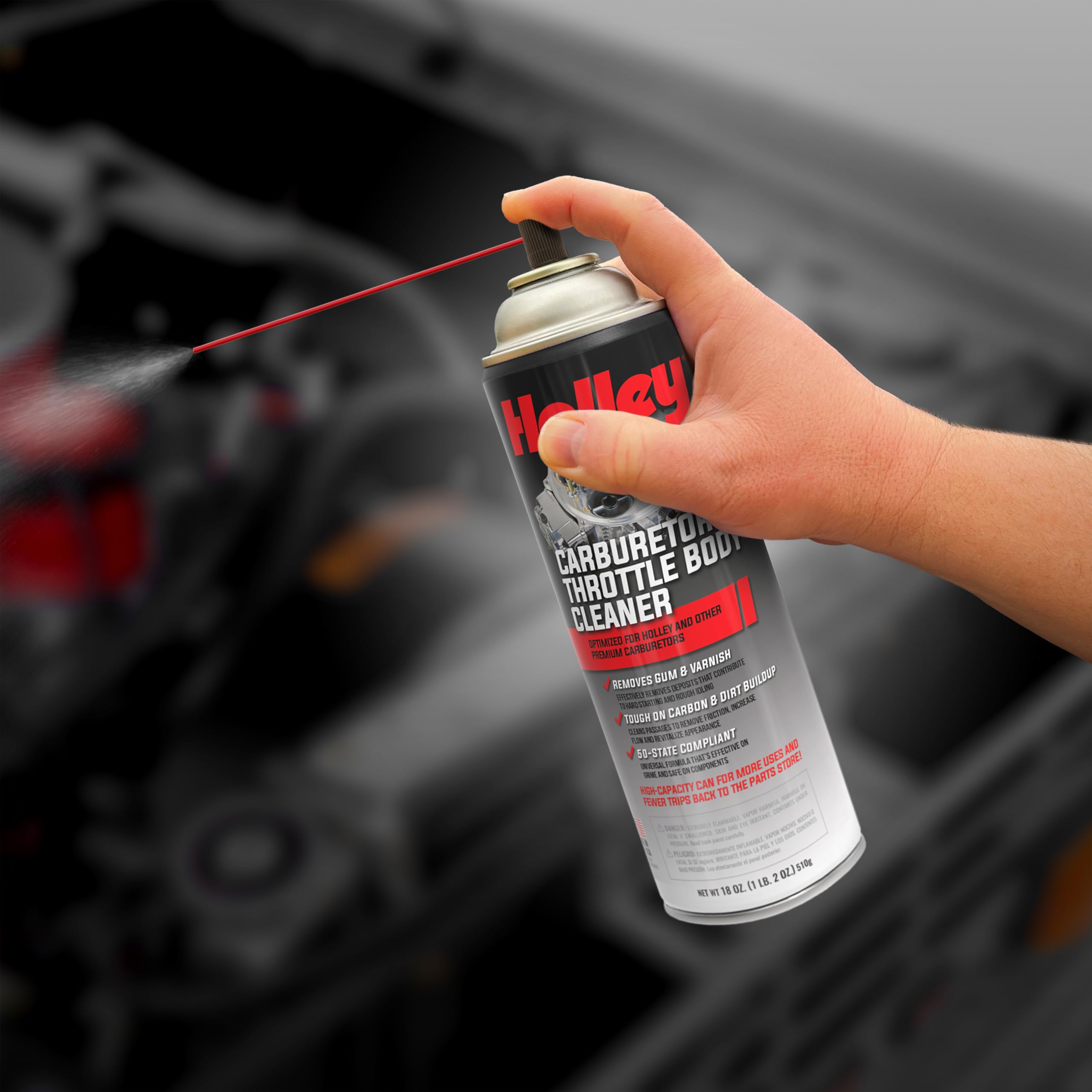 Throttle Body and Holley Carburetor Cleaner Spray, 18 oz Can - Removes Dirt, Gum, and Carbon Buildup Deposits, Degreaser - Including Carb Linkages, Plates, and Valves