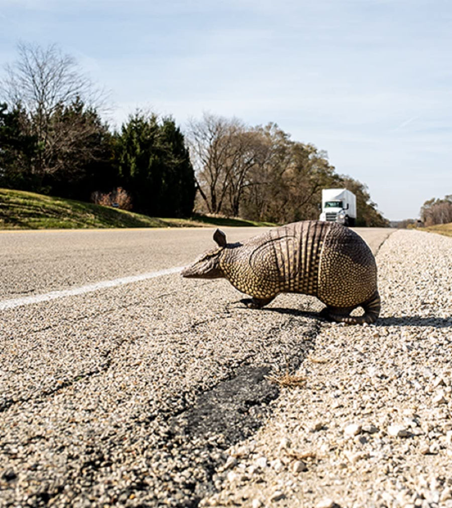 Rinehart Signature 3D Armadillo Archery Target - UNIV