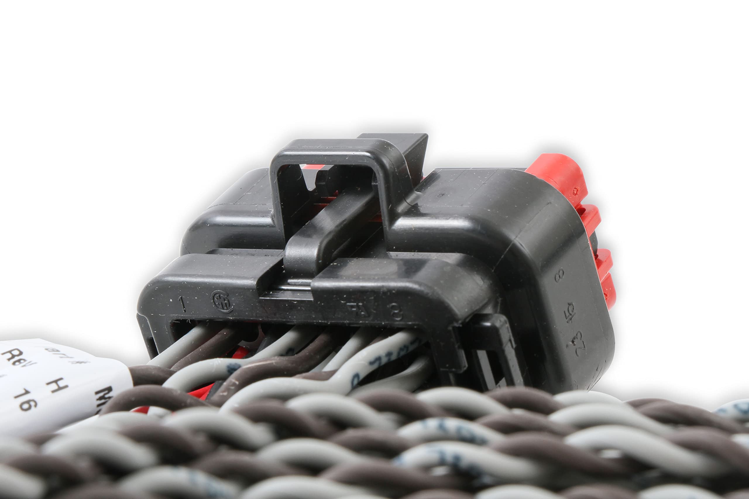 Pro 600 MSD 80001 Coil Harness