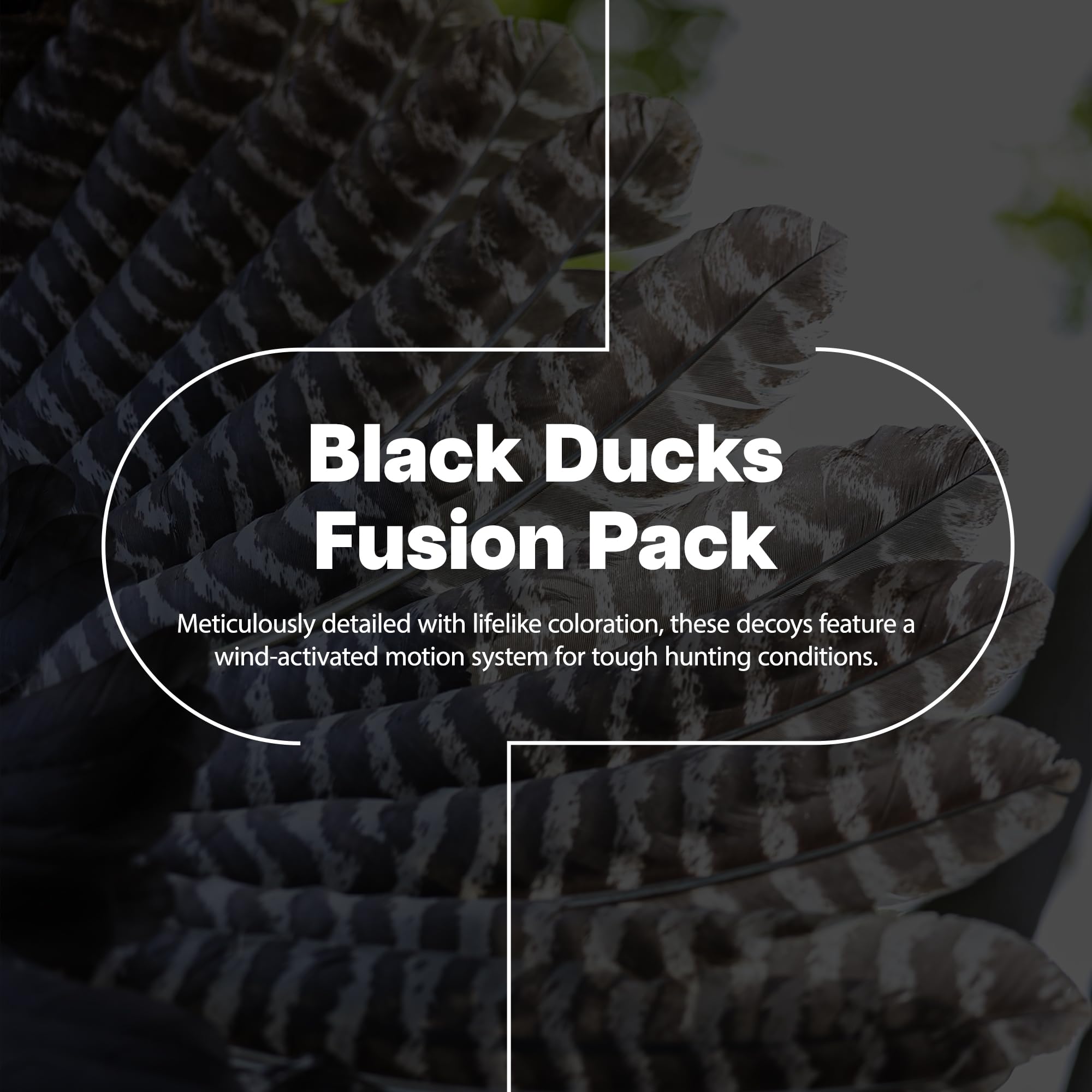 AXF Avian-X 6 Piece Flocked Full Body Black Ducks Fusion Pack with Rugged Durability and Custom Fitted Bag for Hunting Use, Outdoor Sports, and Recreation