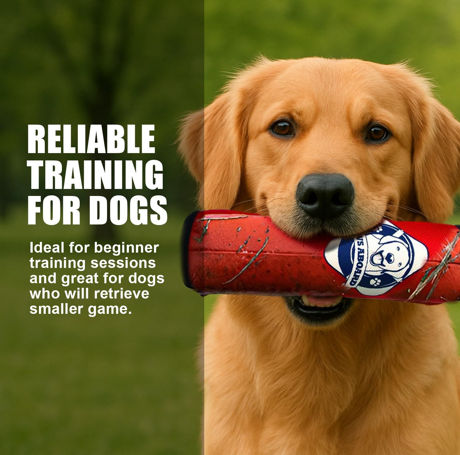2300 Paws Aboard Training Dummy Toy - Floating Pool Toy, Dog Fetch Accessory, Fun Outdoor Training Tool with Tug Rope, Summer Essential, Suitable for Small, Medium, and Large Dogs