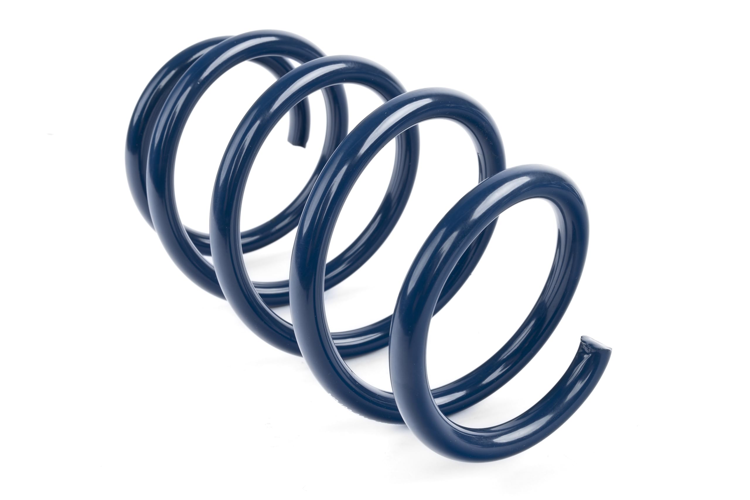 Dinan Performance D100-0938 Coil Spring Set