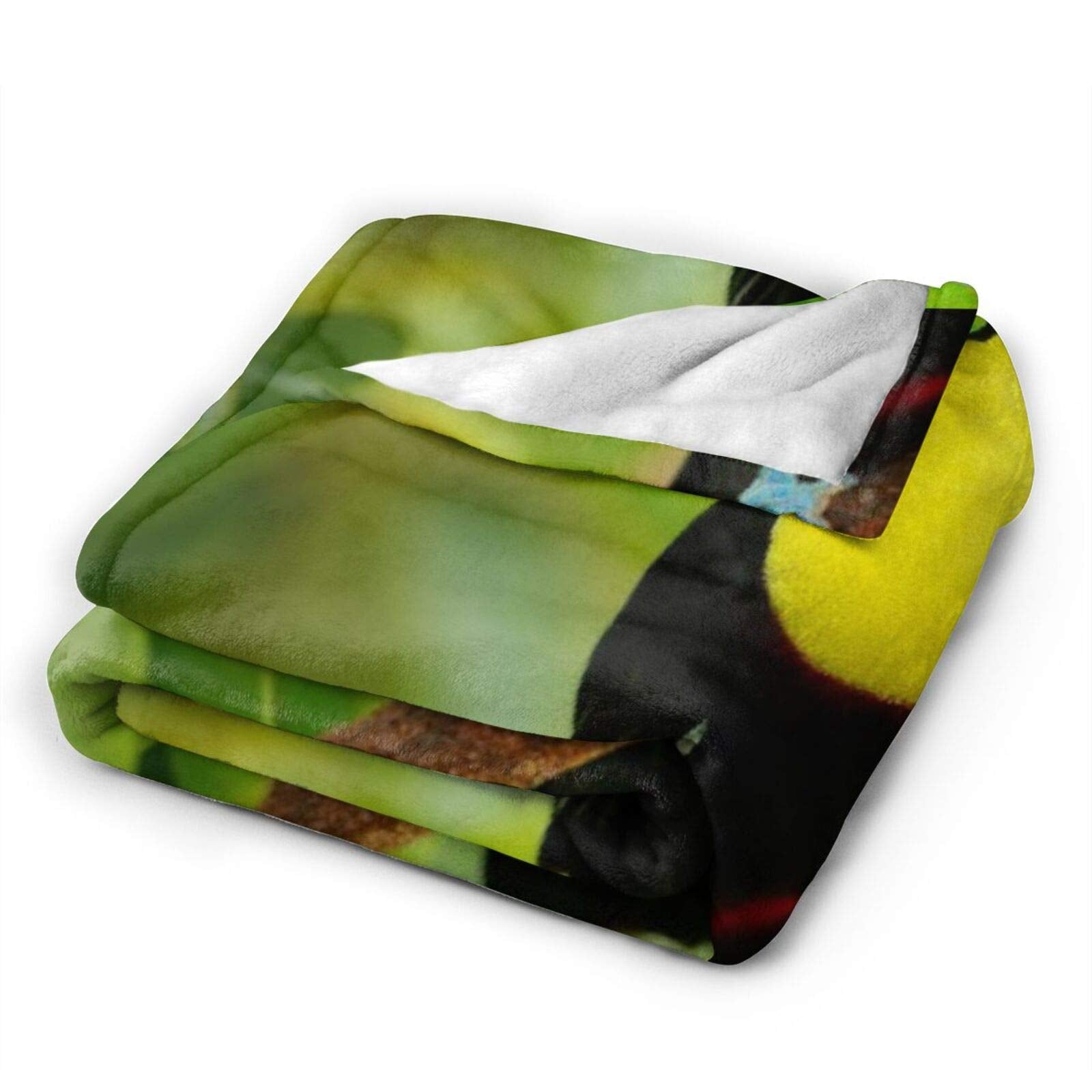 Custom Personalized Throw Blanket,Keel Billed Toucan Ramphastos Sulfuratus Bird Big Bill Sitting Branch In The Forest Boca Tapada Green,Soft Comfortable Plush Blanket for Sofa Bedroom Travel 50"X60"
