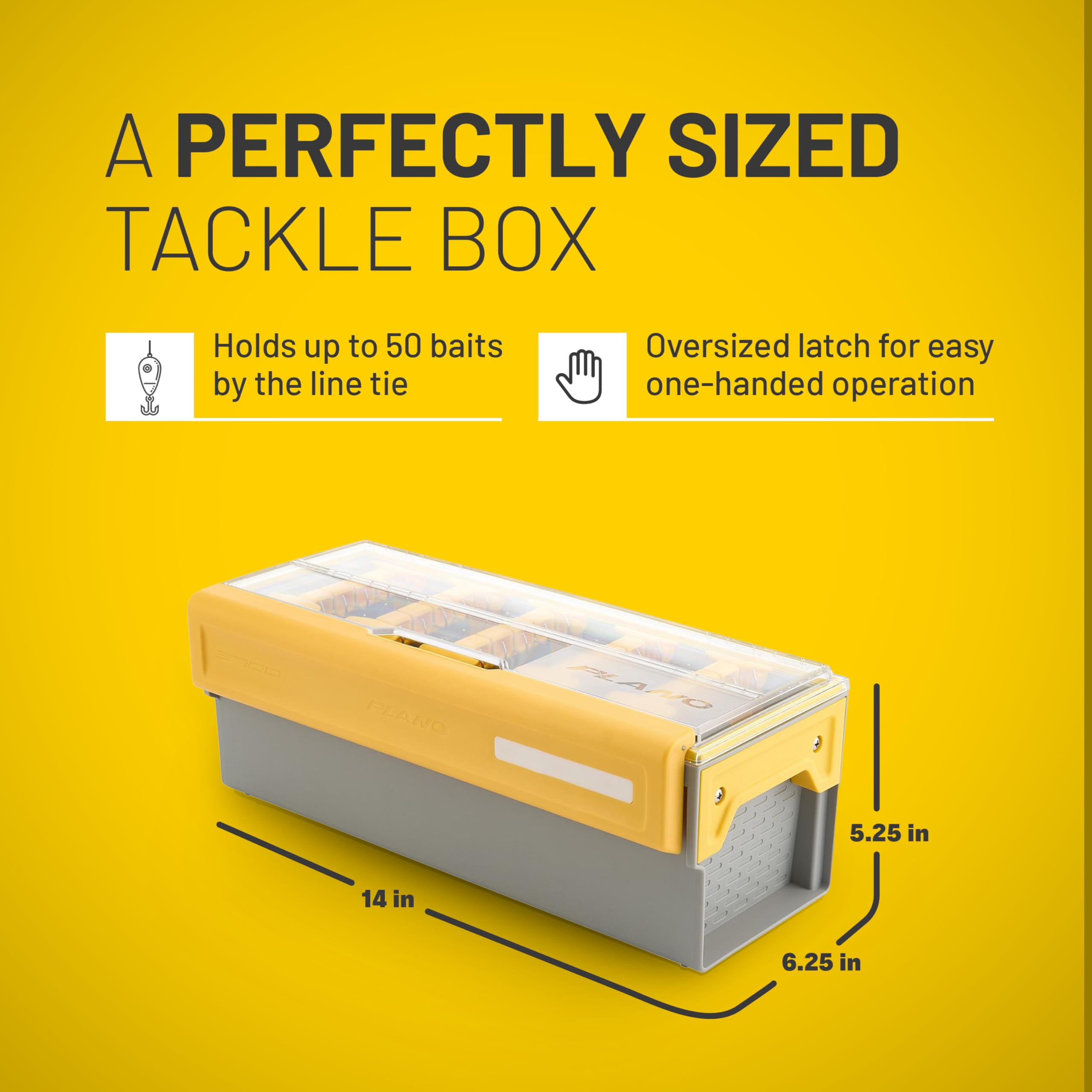 Frog Edge Box