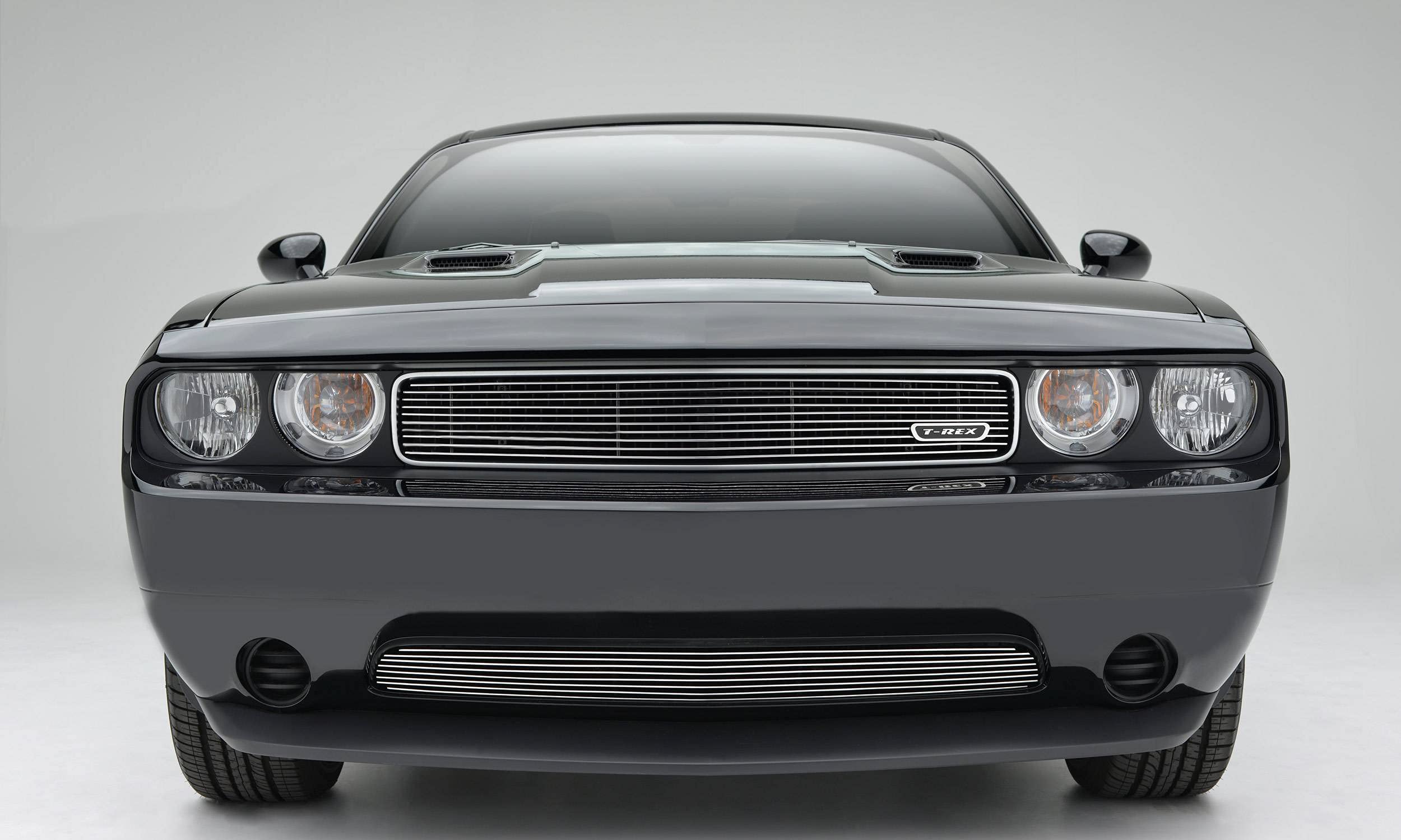 Horizontal T-Rex 21415 Aluminum Polished Finish Billet Grille Overlay for Dodge Challenger