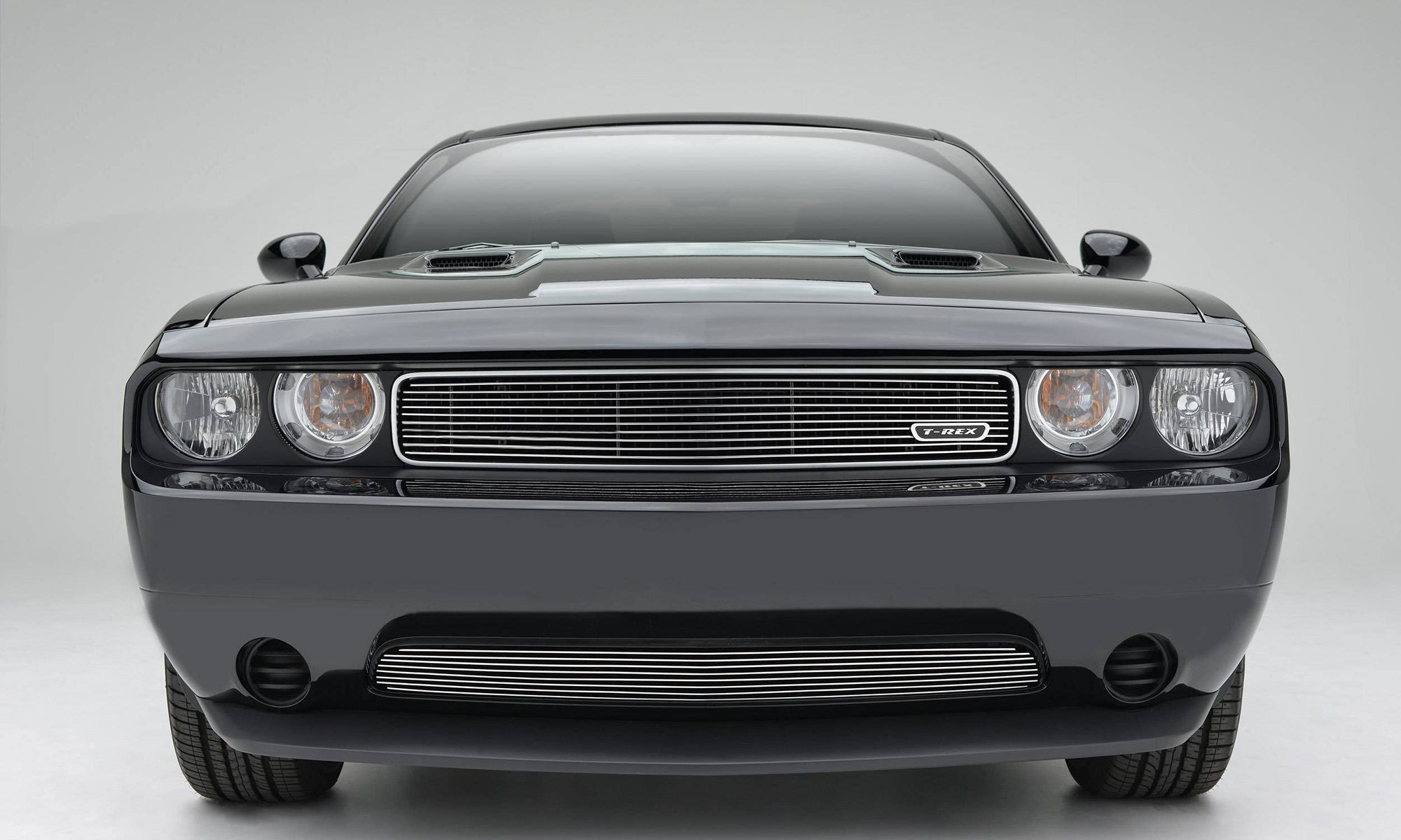 Horizontal T-Rex 21415 Aluminum Polished Finish Billet Grille Overlay for Dodge Challenger