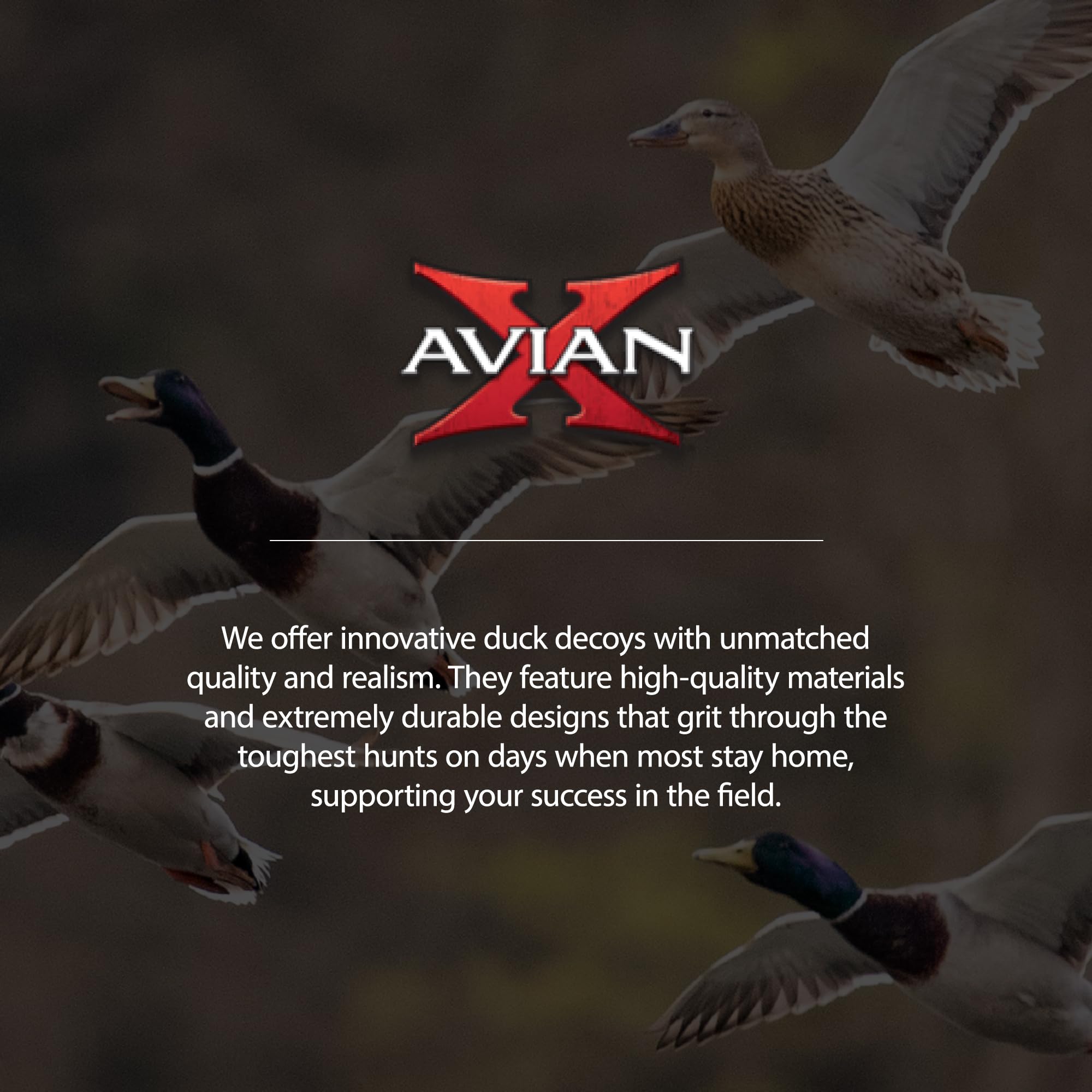 AXF Avian X Lessers Full Body Goose Hunting Decoys with12 Slot Bag, Rugged Durability, & Full Body Equipment for Decoys & Hunting Purposes, 12 Pack