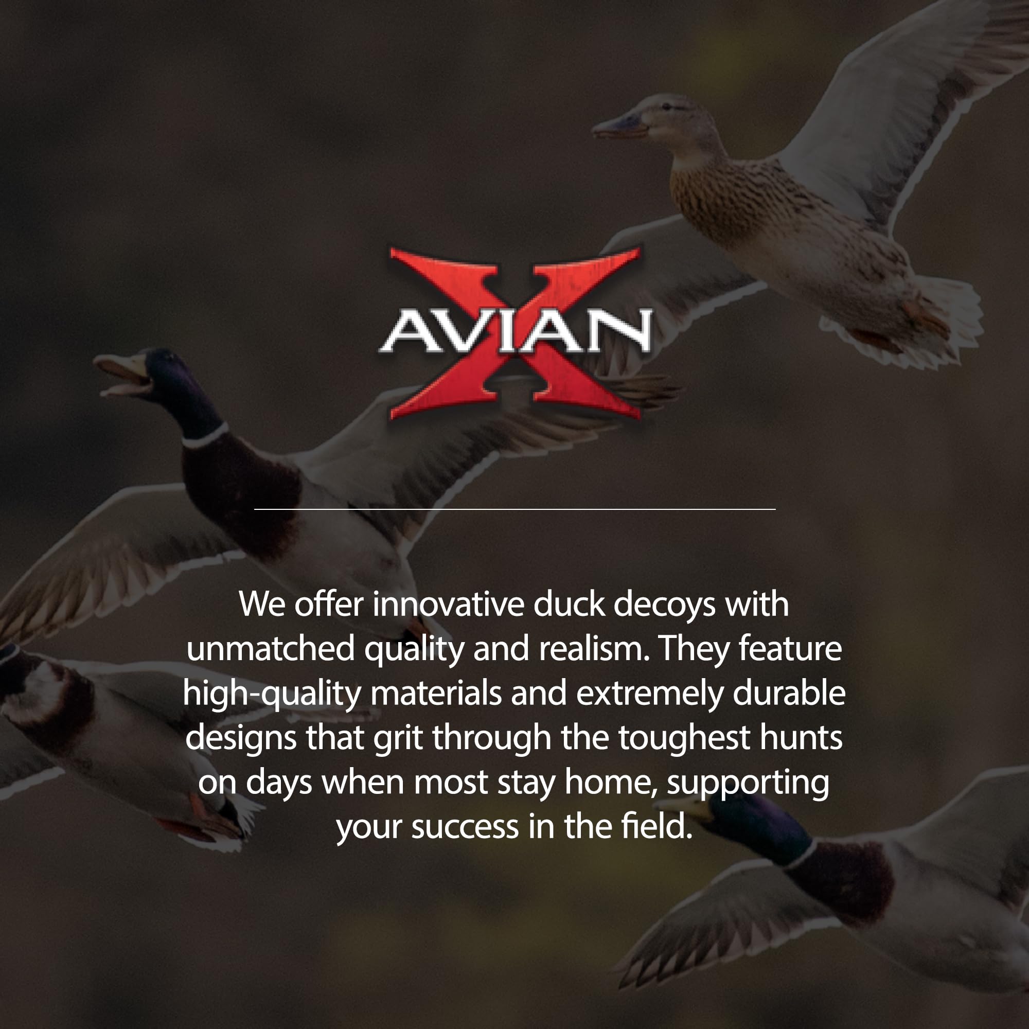 Avian-X Power Shaker Mallard Motion Hen Duck Decoy Floating Surface Feeder for Hunting with Shaker Module Foam Filled Body, Multicolor
