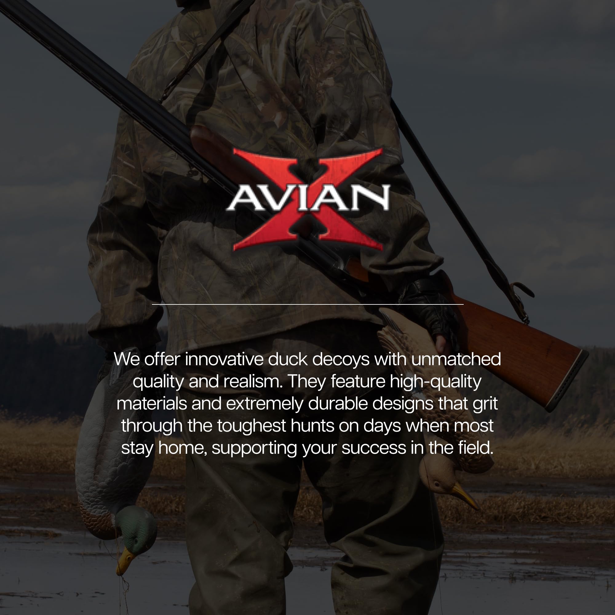 Avian-X Canvasback Magnum Decoys, Open Water, Realistic Design, Weight Forward Swim Keel, Rugged with No Flake Paint Finish, True to Life Postures
