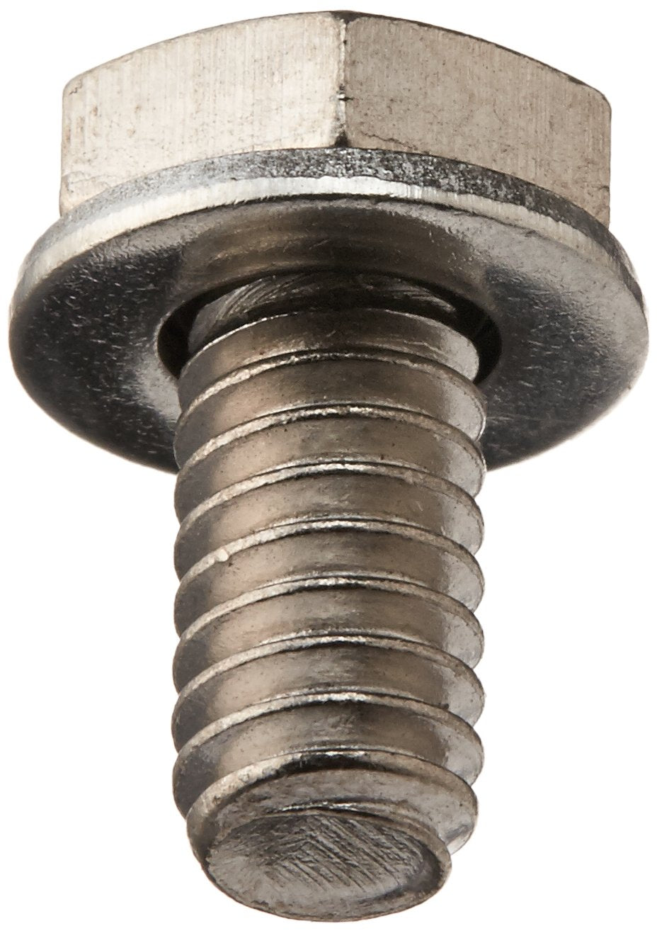 Trans-Dapt 9273 Chrome Timing Chain Cover Bolts Trans-Dapt Performance