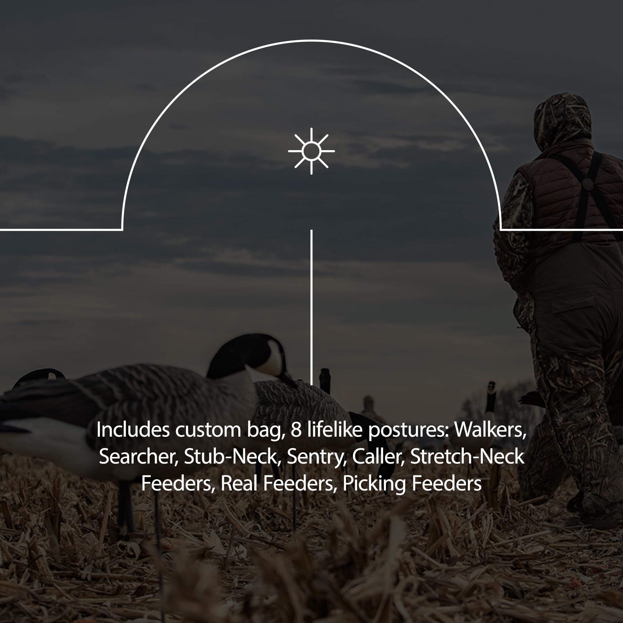 AXF Avian X Lessers Full Body Goose Hunting Decoys with12 Slot Bag, Rugged Durability, & Full Body Equipment for Decoys & Hunting Purposes, 12 Pack
