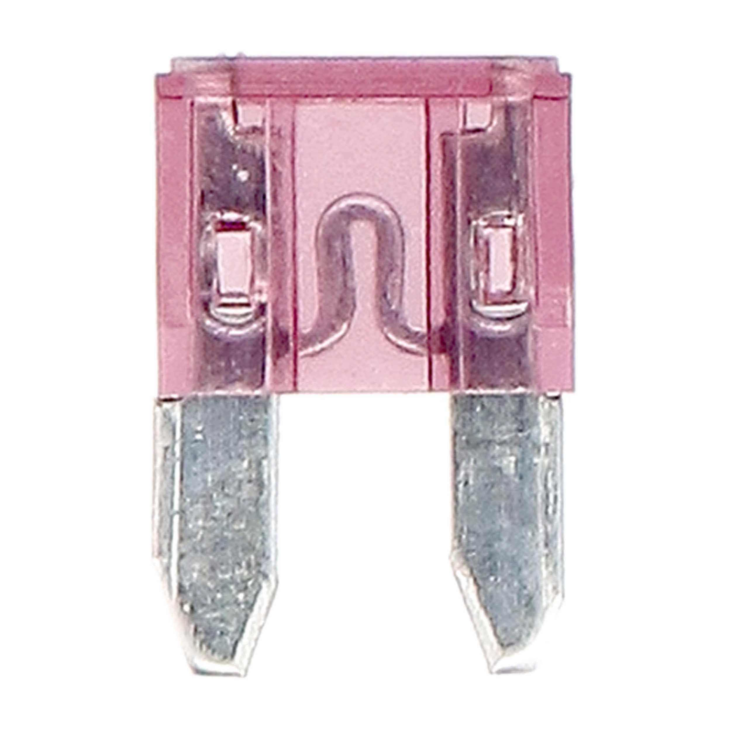 ATM40-25 Install Bay - 4 Amp Fuse (25 Pack)