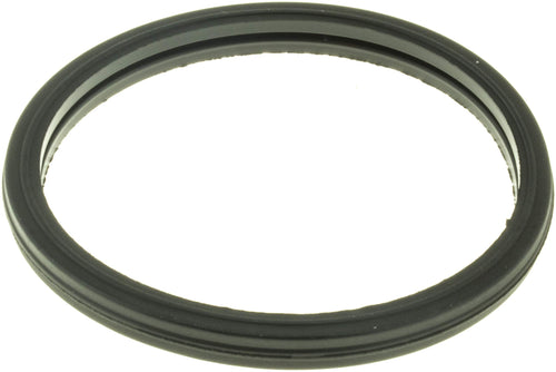 Engine Coolant Thermostat Seal Gates 33661