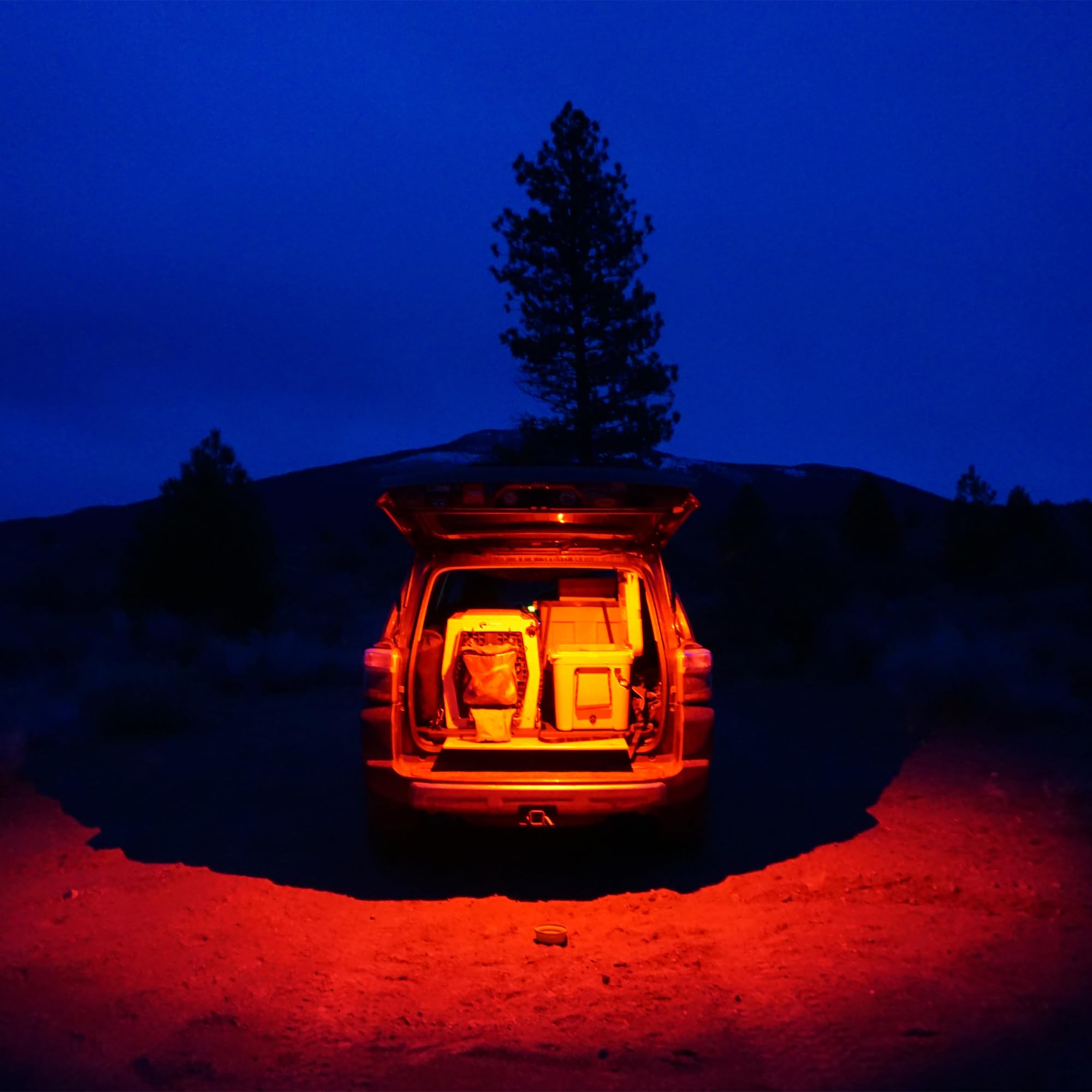 LED Baja Designs Rock Light (Red)