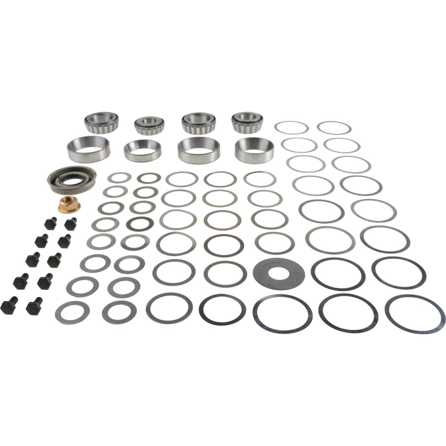 Differential Bearing Spicer Overhaul Kit 2017096