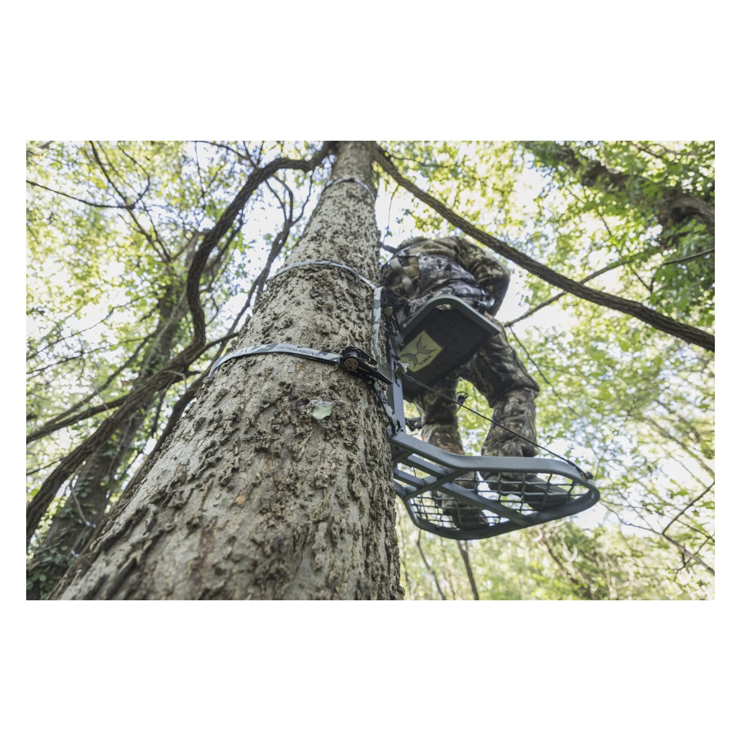 Micro Hawk Hang On Rival Treestand