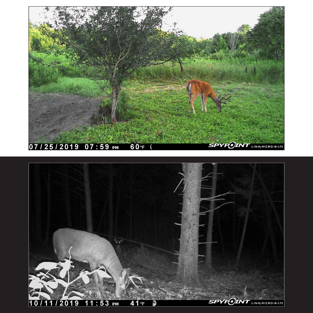 SPYPOINT Trail Camera Link-Micro-S-LTE-V Cellular Solar Panel 10MP Photos Night Vision 4 LED Infrared Flash 80'Detection Flash Range 0.4second Trigger Speed Game Cell Cam for Hunting-for USA only
