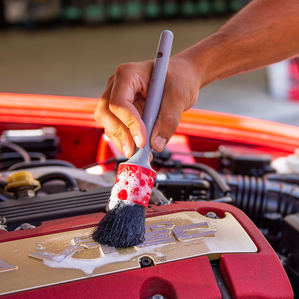 Chemical Guys Exterior Detailing Brushes All in the Details - 3-Piece Soft Scratch-Free Brushes for Wheels, Bumpers, Grilles, Badging & Tight Exterior Gaps on Cars, Trucks, SUVs & More