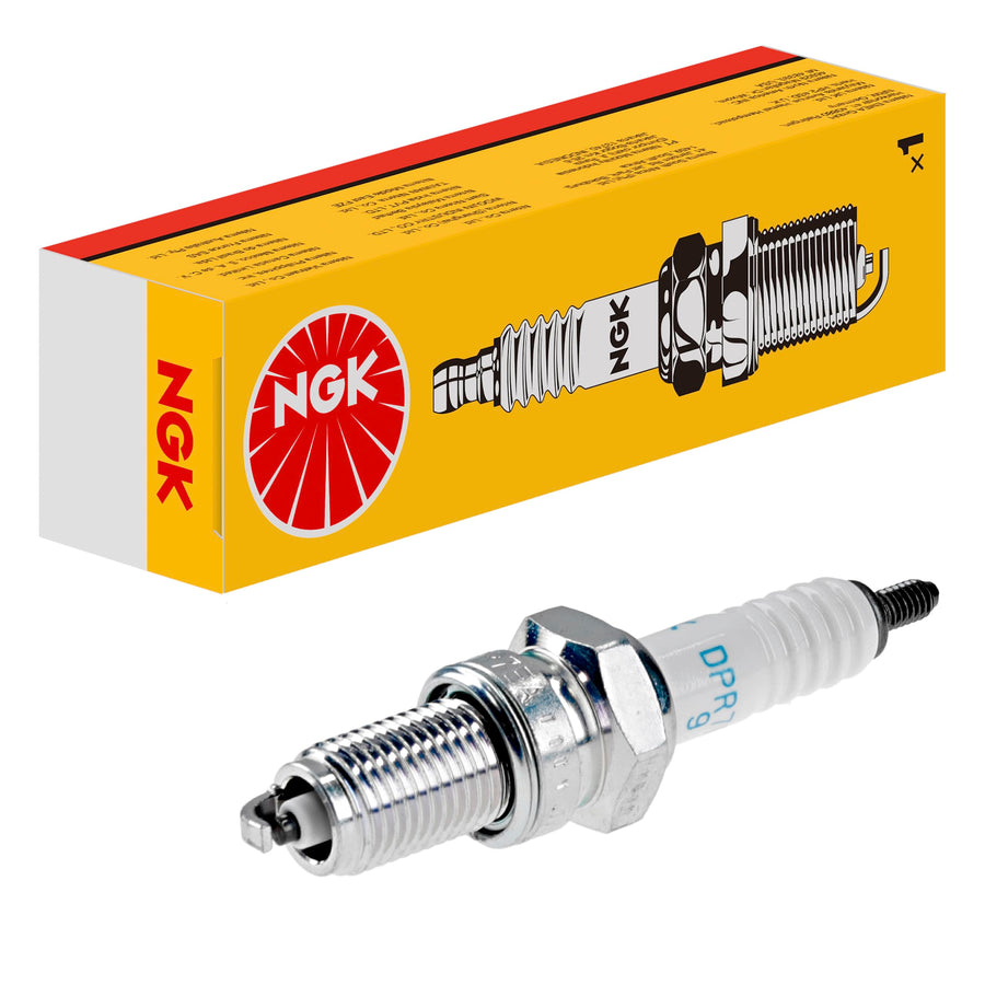 Standard NGK Plug