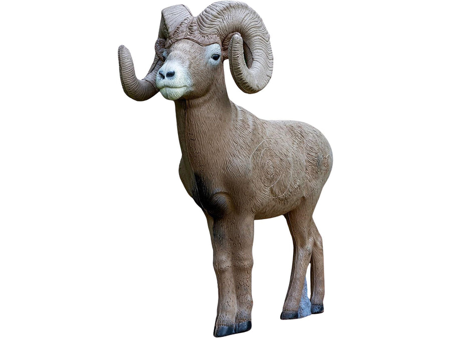 1/2 Scale Rinehart Bighorn Ram 3D Archery Target | Scaled Bighorn Sheep with Replaceable Vital Insert | Broadhead & Field Point Compatible | Self-Healing Foam | Made in USA