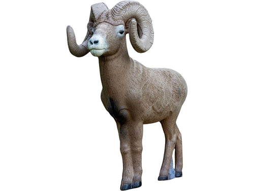1/2 Scale Rinehart Bighorn Ram 3D Archery Target | Scaled Bighorn Sheep with Replaceable Vital Insert | Broadhead & Field Point Compatible | Self-Healing Foam | Made in USA