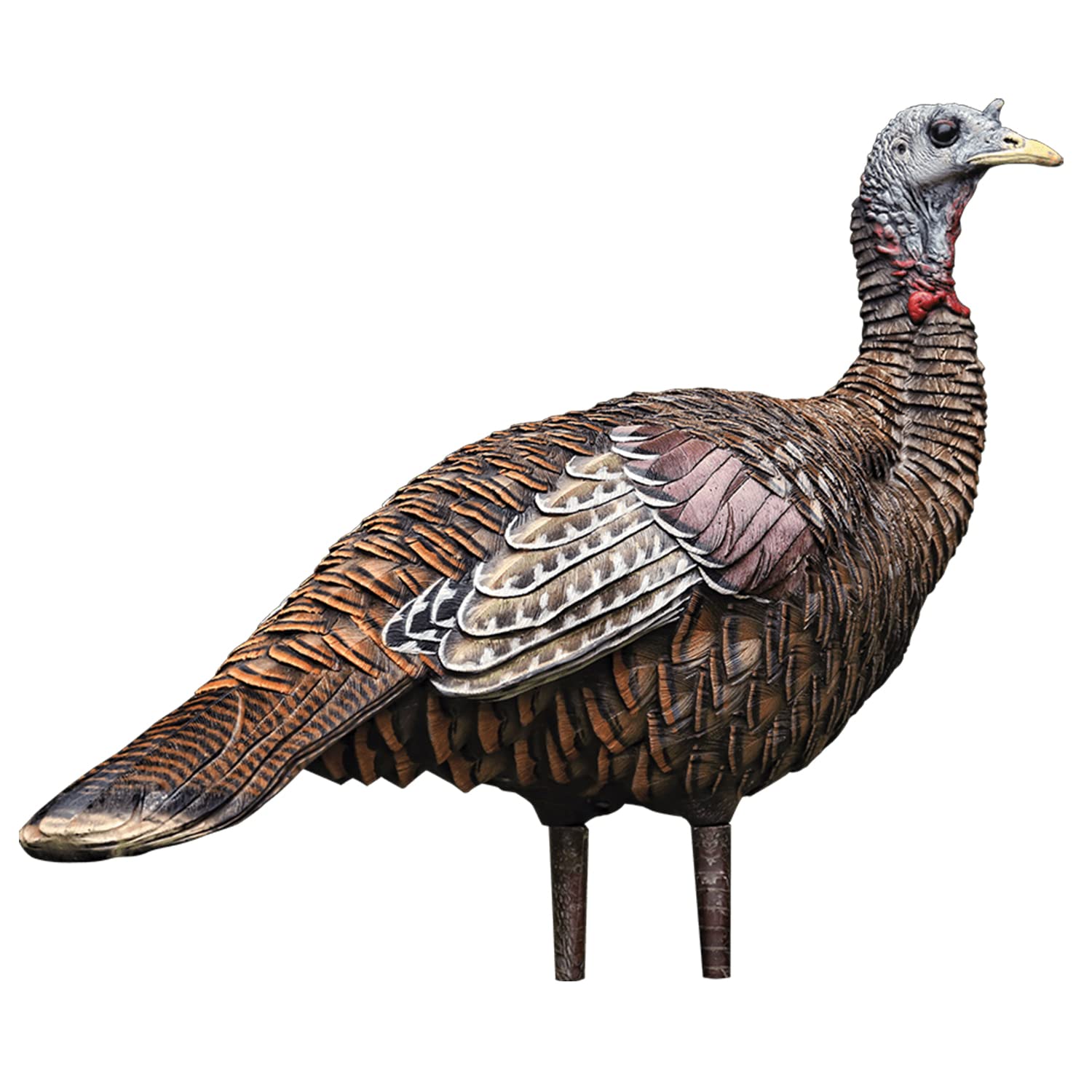 AVIAN-X Lookout Hen LCD Turkey Decoy | Durable Realistic Lifelike Collapsible Hunting Decoy with Carry Bag & Stake, AVX8006