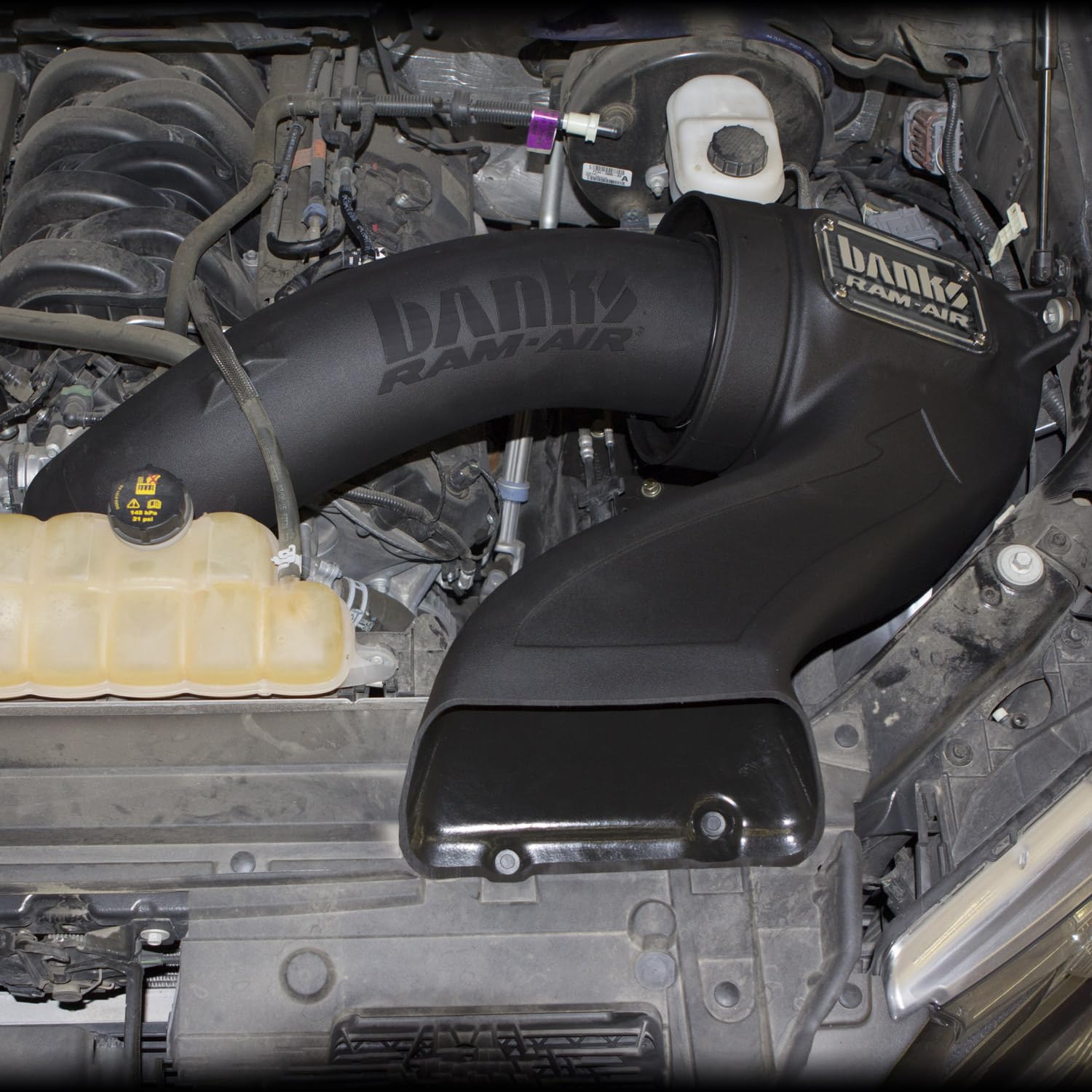 15-17 Ford F-150 Banks Power 5.0L Ram-Air Intake System - Dry Filter (41888-D)