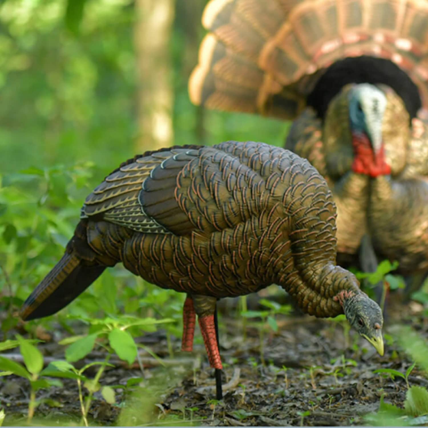HDR Feeding Avian-X Hen Turkey Decoy