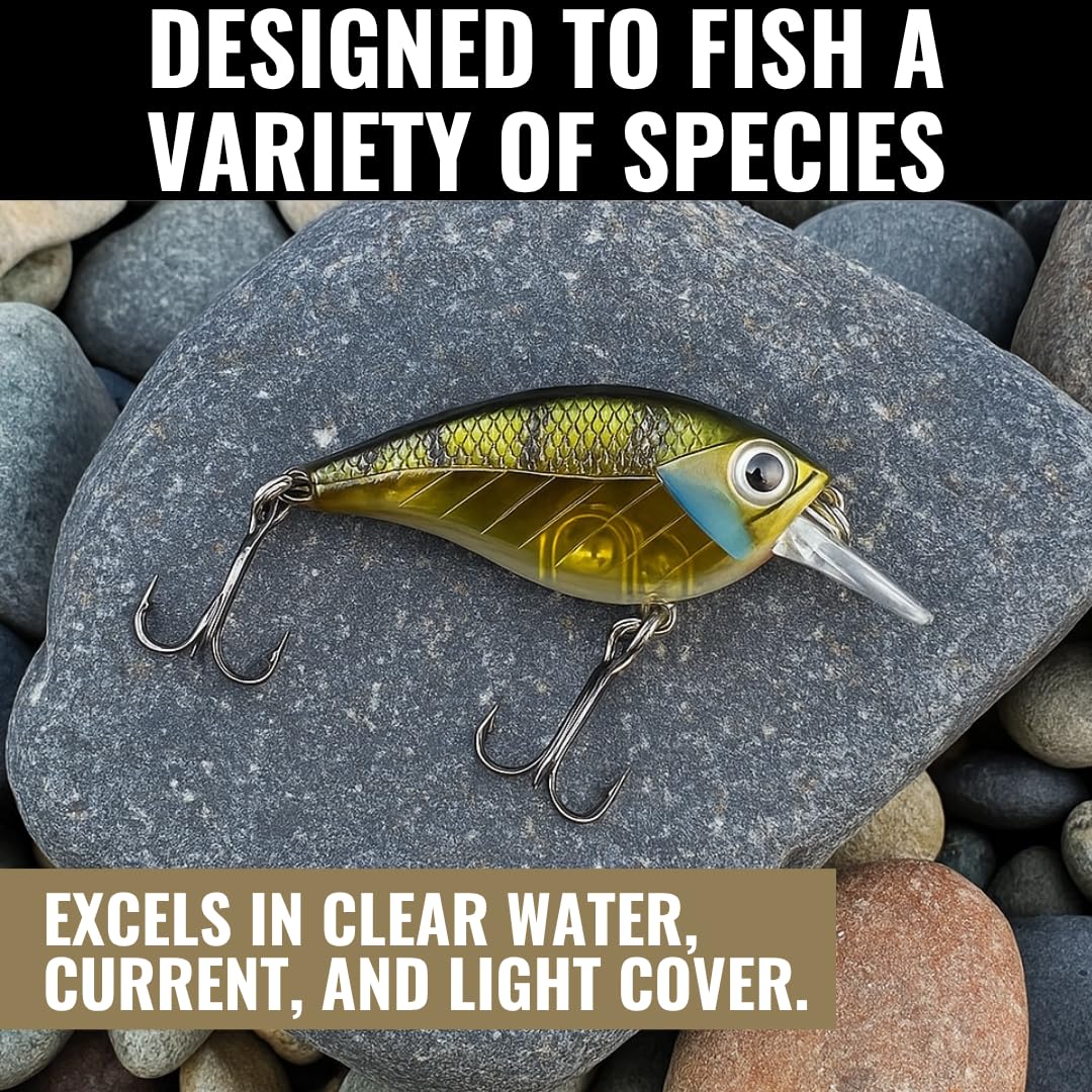 Impact Jolt Lunkerhunt | Crankbait, Deep Diving Hard Bait Fishing Lure | Flat Sided Square Bill, Clear Water, Fresh Water Lure for Bass Fishing, Trout and Spike, Crappie
