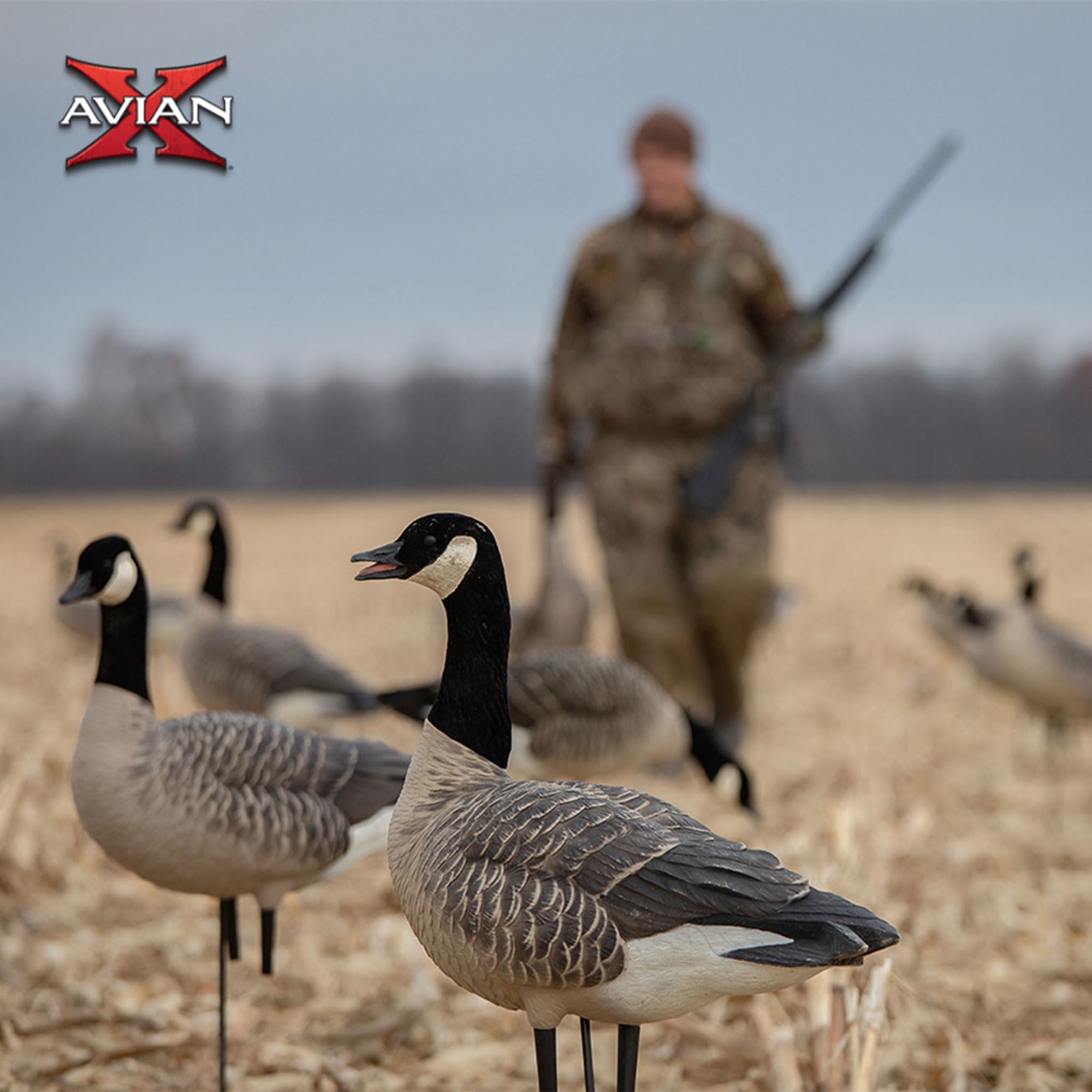 AXF Avian X Lessers Full Body Goose Hunting Decoys with12 Slot Bag, Rugged Durability, & Full Body Equipment for Decoys & Hunting Purposes, 12 Pack