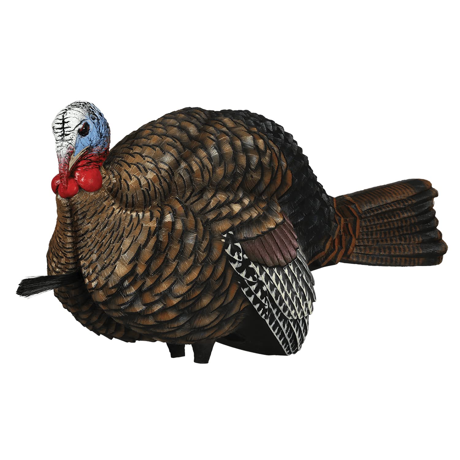 LCD Avian X 1/2 Strut Jake Turkey Decoy