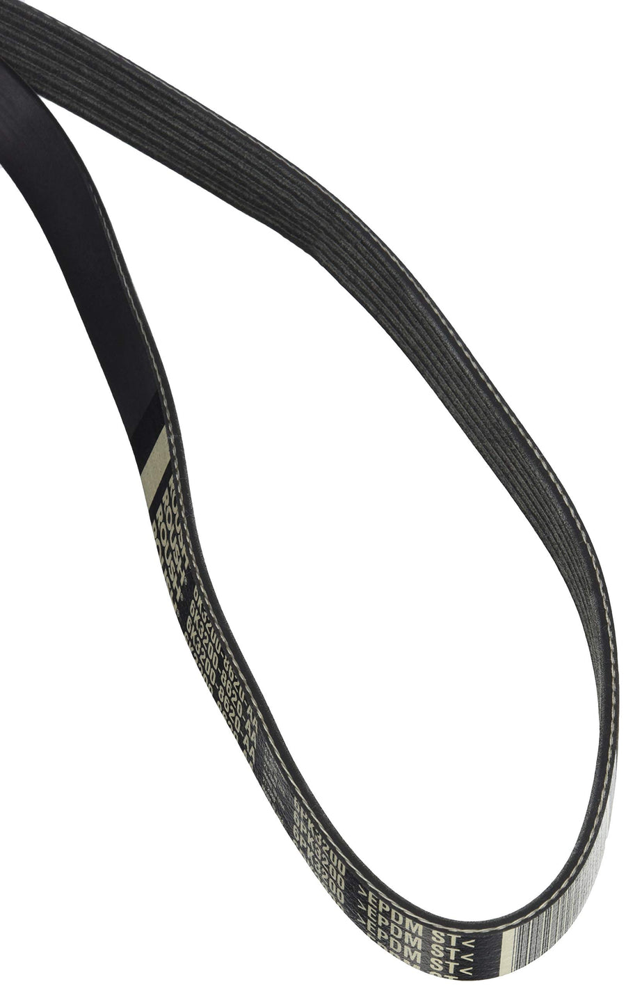 421627 Roush Serpentine Belt (6K 3200 Length FEAD), 1 Pack