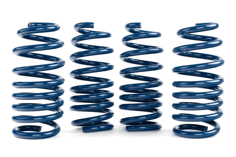 Dinan Performance Spring Set D100-0936 - F95, F96
