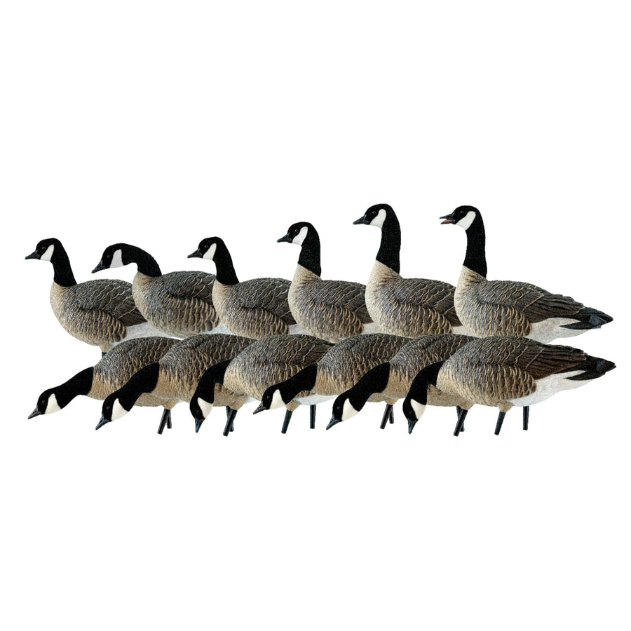 AXP Lessers Avian X Outfitter Pack, 12 Full Body Canada Goose Decoys, Oversized, Flocked Heads, 12 Stakes, Includes 12-Slot Bag