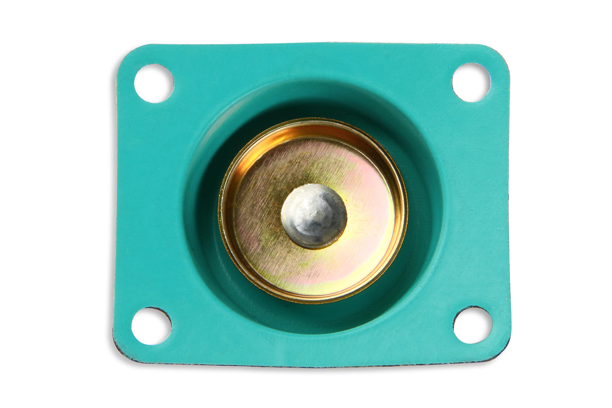 Carburetor Rebuild Kit Holley 37-474 Renew Kit