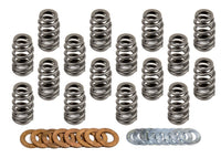 221431-16 Manley Valve Spring