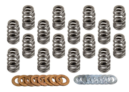221431-16 Manley Valve Spring