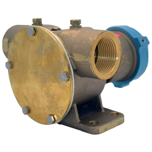 Clutch Pump Johnson Pumps F8B-5 with Bare Shaft 1 1/4-Inch NPT