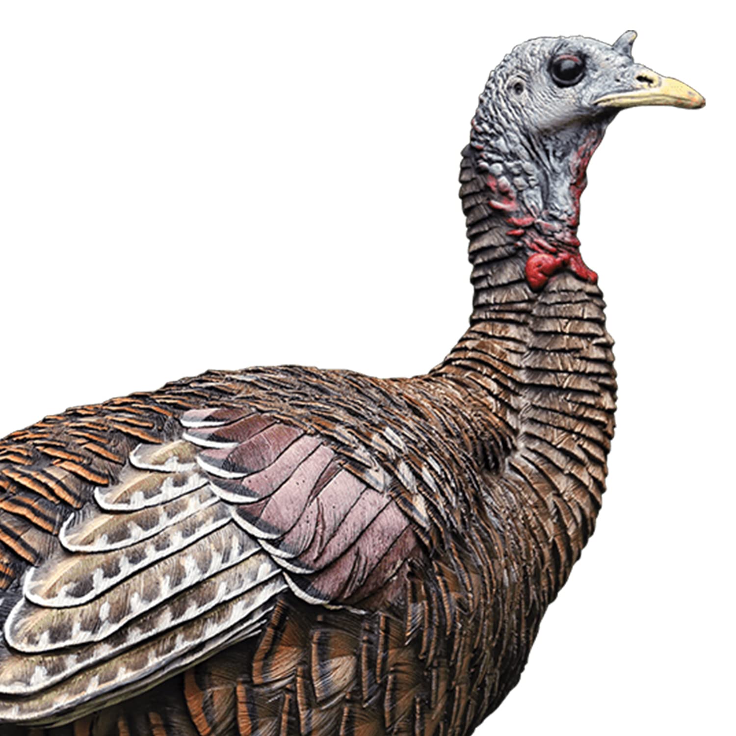 AVIAN-X Lookout Hen LCD Turkey Decoy | Durable Realistic Lifelike Collapsible Hunting Decoy with Carry Bag & Stake, AVX8006