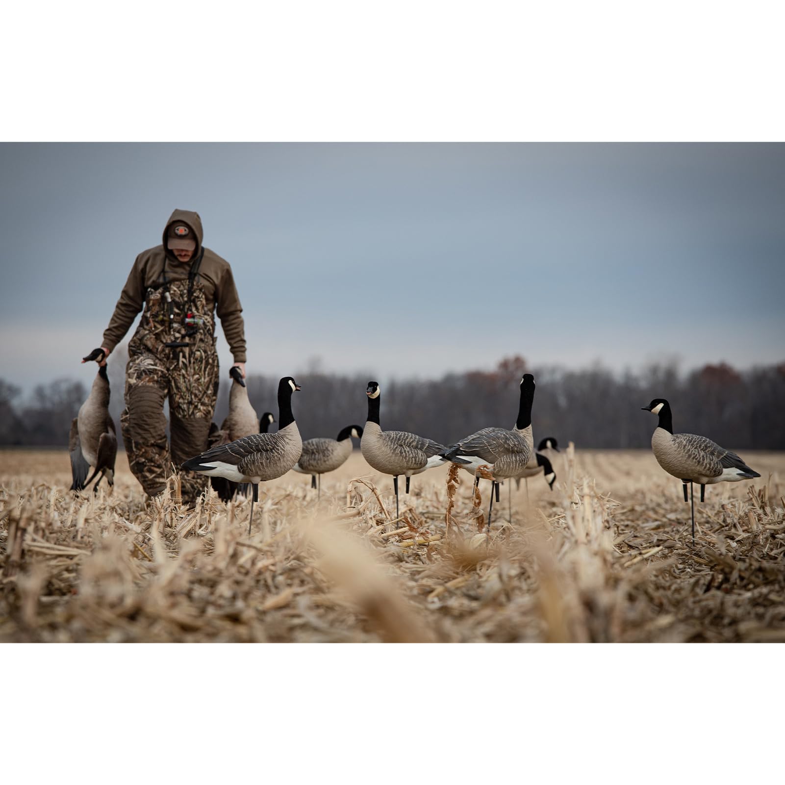 AXP Lessers Avian X Outfitter Pack, 12 Full Body Canada Goose Decoys, Oversized, Flocked Heads, 12 Stakes, Includes 12-Slot Bag