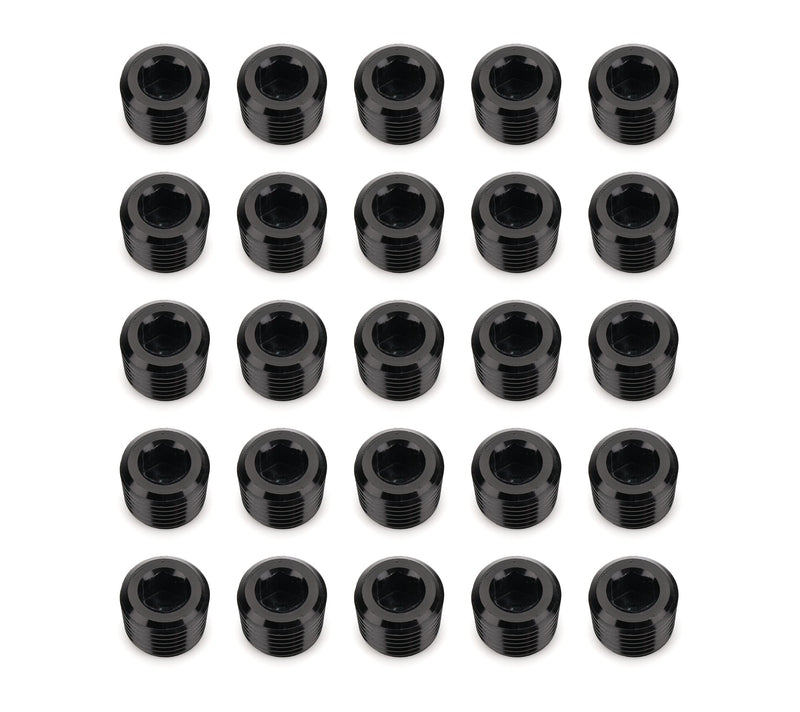 14 NPT SOCKET HEAD PIPE PLUG - BLACK - 25PCS -04