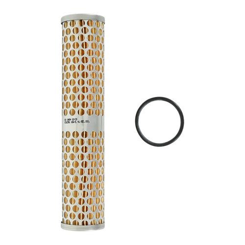 Fuel Filter Element AEM Race (25-202)