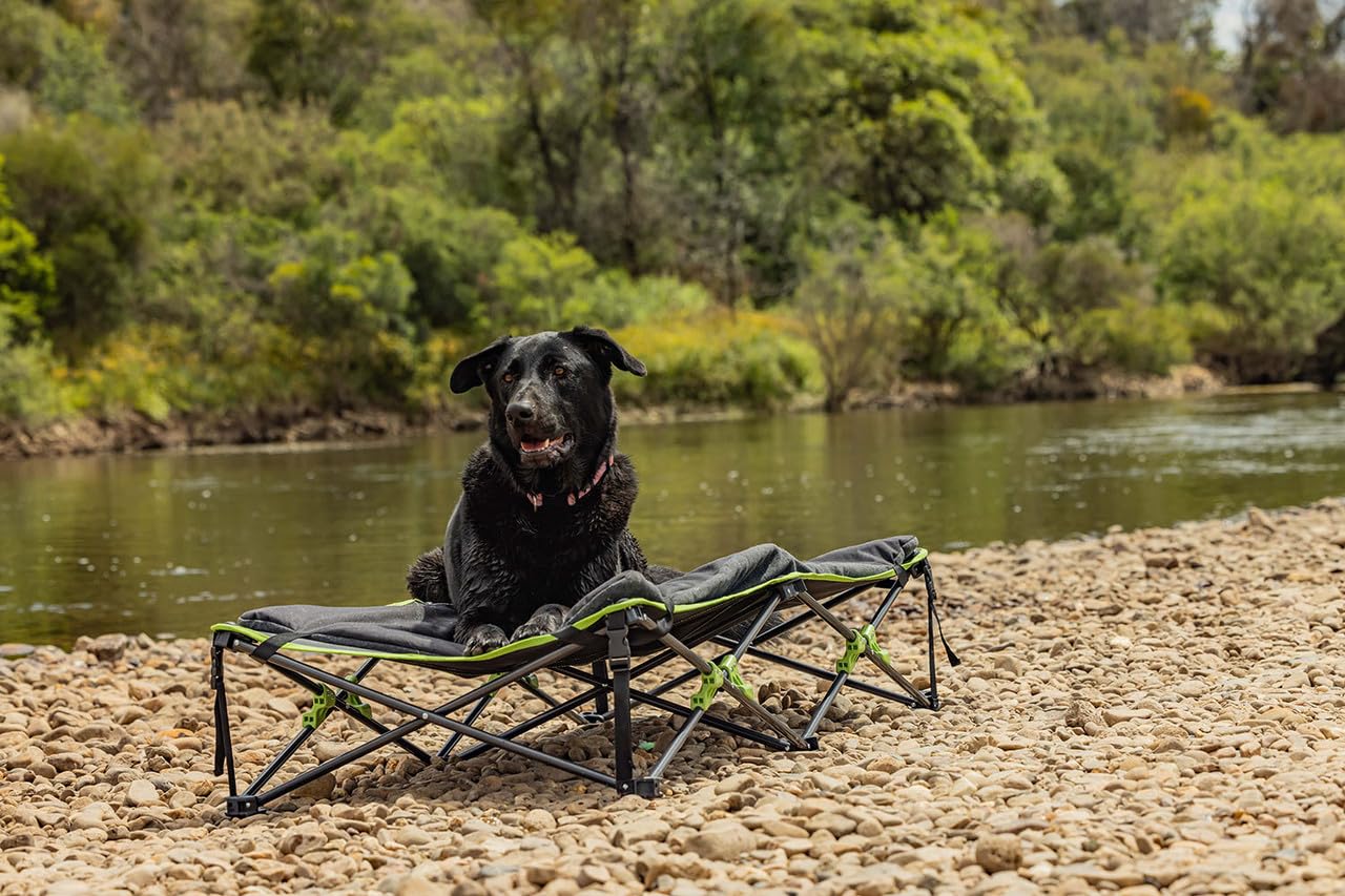 Quick Fold IM4x4 Dog Bed with Padded Mat (XL)