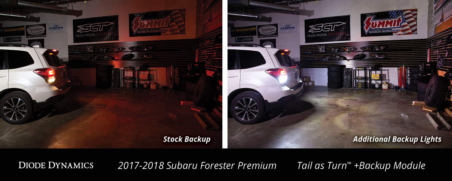 Diode Dynamics - Tail as Turn +Backup Module Module Only 2017-2018 Subaru Forester Premium (USDM)