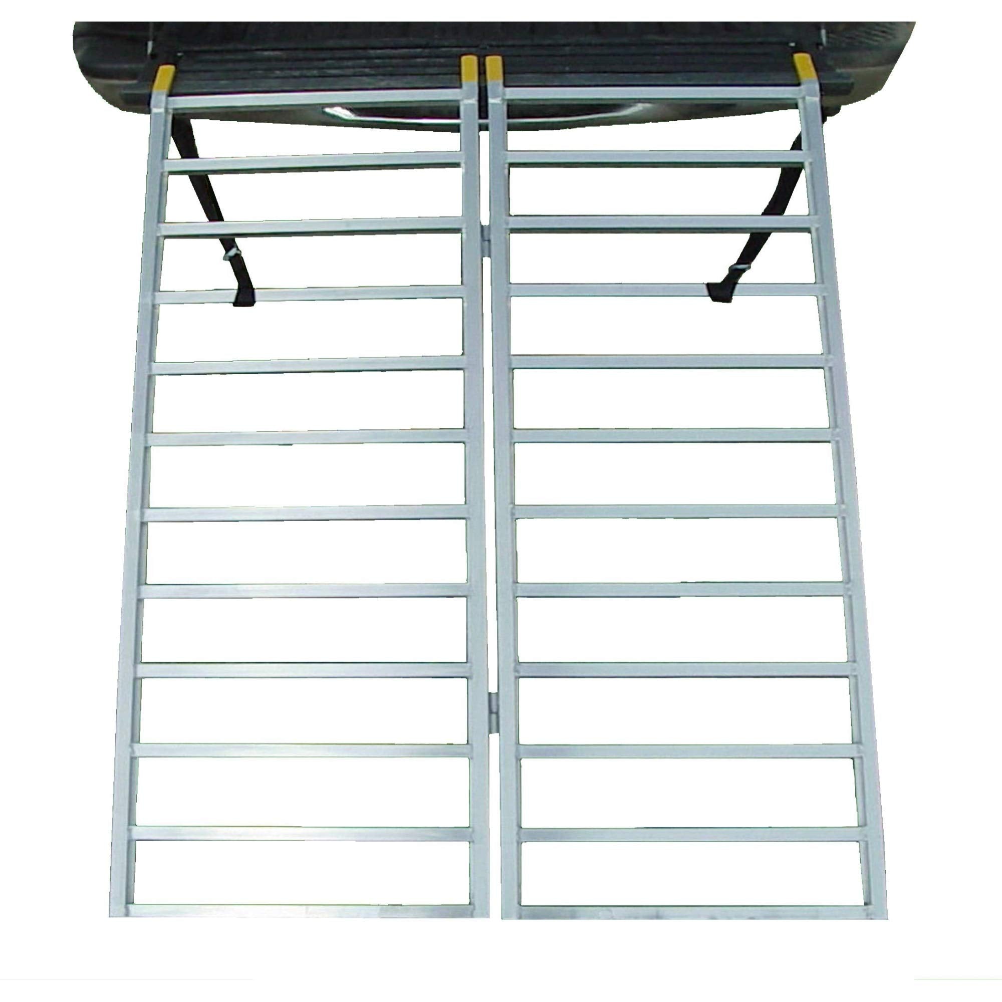 AN ALUMINUM BIFOLD LOADING RAMP IS THIS. LOAD CAPACITY IS 1250 LBS LL46717